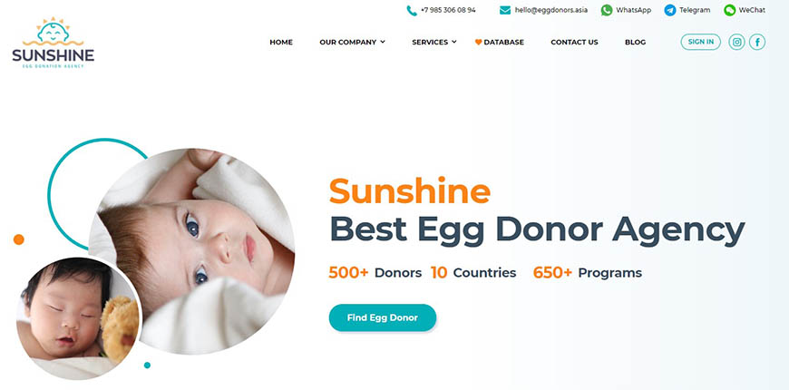 egg donors asia medical website design